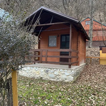 Camping Panelovka *